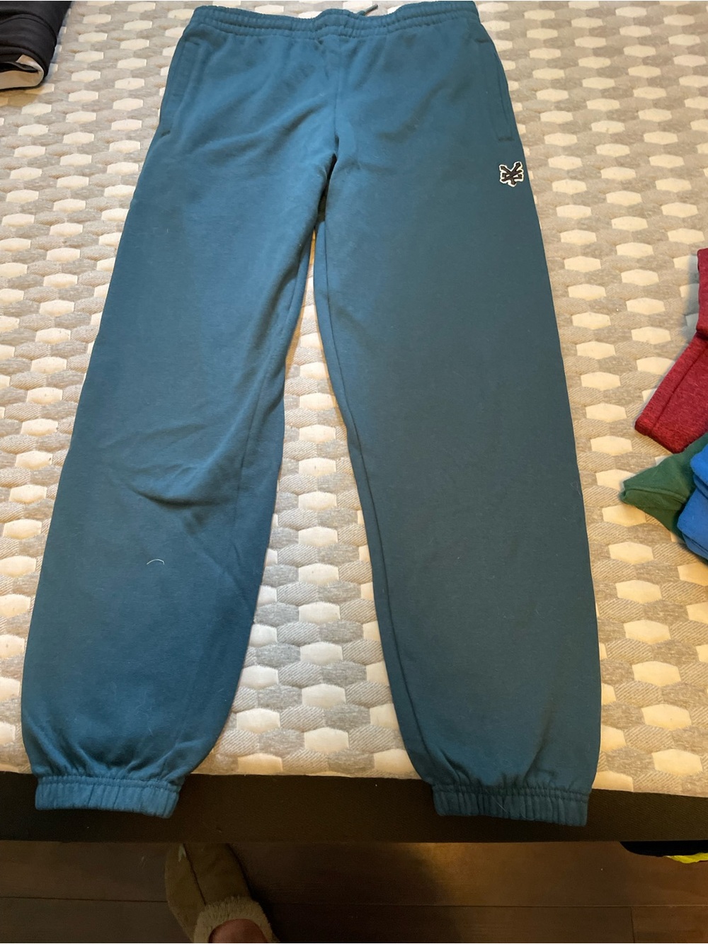 Zoo York Teal Kids Sweatpants with Butterfly Accent